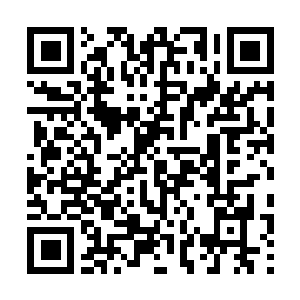 Lien vers votre campagne QRCode - Collecte de fonds
