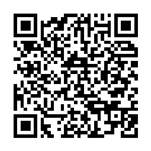 Lien vers votre campagne QRCode - Collecte de fonds