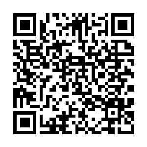Lien vers votre campagne QRCode - Collecte de fonds