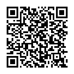 Lien vers votre campagne QRCode - Collecte de fonds