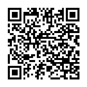 Lien vers votre campagne QRCode - Collecte de fonds