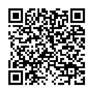 Lien vers votre campagne QRCode - Collecte de fonds