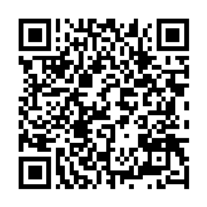 Lien vers votre campagne QRCode - Collecte de fonds