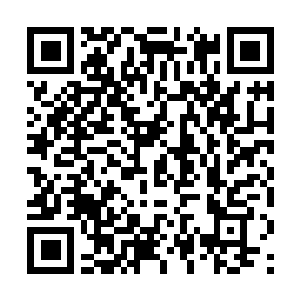 Lien vers votre campagne QRCode - Collecte de fonds