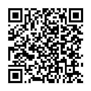 Lien vers votre campagne QRCode - Collecte de fonds