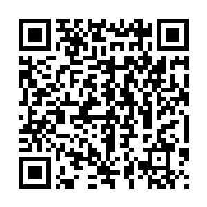 Lien vers votre campagne QRCode - Collecte de fonds