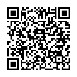 Lien vers votre campagne QRCode - Collecte de fonds