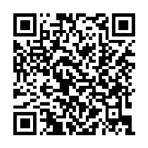 Lien vers votre campagne QRCode - Collecte de fonds