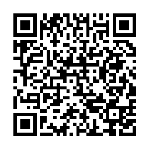 Lien vers votre campagne QRCode - Collecte de fonds