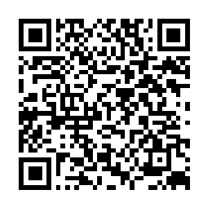 Lien vers votre campagne QRCode - Collecte de fonds