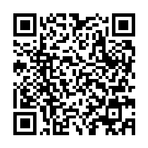 Lien vers votre campagne QRCode - Collecte de fonds