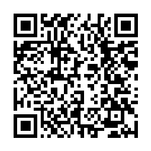 Lien vers votre campagne QRCode - Collecte de fonds