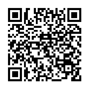 Lien vers votre campagne QRCode - Collecte de fonds