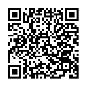 Lien vers votre campagne QRCode - Collecte de fonds