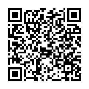 Lien vers votre campagne QRCode - Collecte de fonds