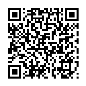 Lien vers votre campagne QRCode - Collecte de fonds