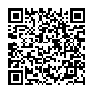 Lien vers votre campagne QRCode - Collecte de fonds