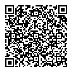 Lien vers votre campagne QRCode - Collecte de fonds