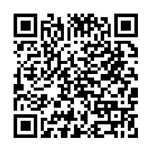 Lien vers votre campagne QRCode - Collecte de fonds