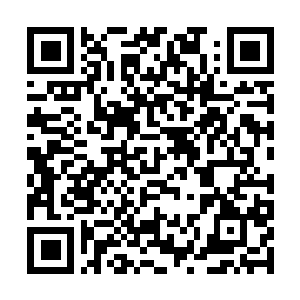 Lien vers votre campagne QRCode - Collecte de fonds