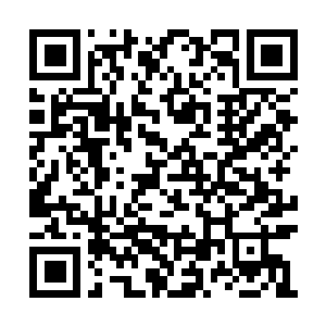 Lien vers votre campagne QRCode - Collecte de fonds