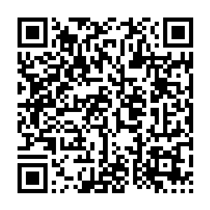 Lien vers votre campagne QRCode - Collecte de fonds