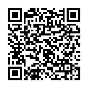 Lien vers votre campagne QRCode - Collecte de fonds