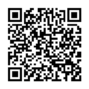 Lien vers votre campagne QRCode - Collecte de fonds