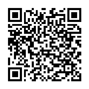 Lien vers votre campagne QRCode - Collecte de fonds