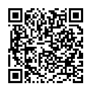 Lien vers votre campagne QRCode - Collecte de fonds