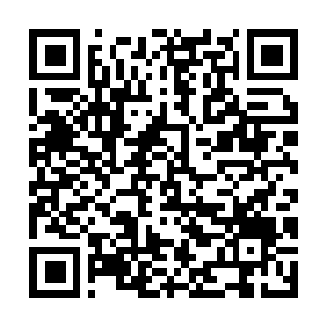 Lien vers votre campagne QRCode - Collecte de fonds