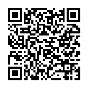 Lien vers votre campagne QRCode - Collecte de fonds