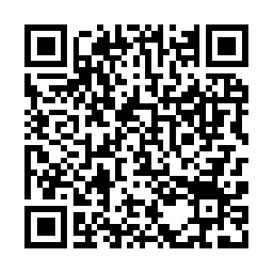 Lien vers votre campagne QRCode - Collecte de fonds