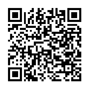 Lien vers votre campagne QRCode - Collecte de fonds
