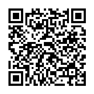 Lien vers votre campagne QRCode - Collecte de fonds