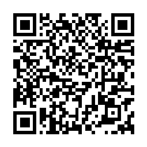 Lien vers votre campagne QRCode - Collecte de fonds