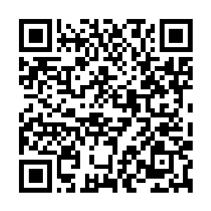 Lien vers votre campagne QRCode - Collecte de fonds
