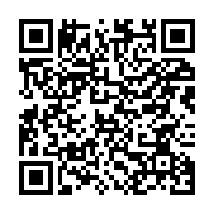 Lien vers votre campagne QRCode - Collecte de fonds