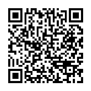 Lien vers votre campagne QRCode - Collecte de fonds