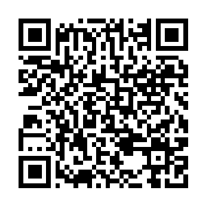 Lien vers votre campagne QRCode - Collecte de fonds