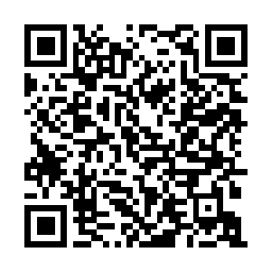 Lien vers votre campagne QRCode - Collecte de fonds