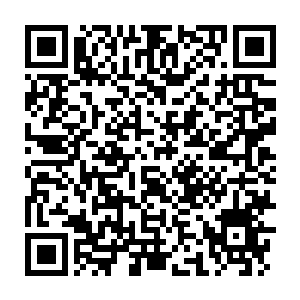 Lien vers votre campagne QRCode - Collecte de fonds