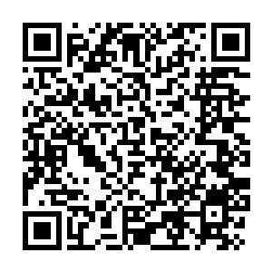 Lien vers votre campagne QRCode - Collecte de fonds