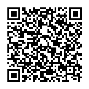 Lien vers votre campagne QRCode - Collecte de fonds