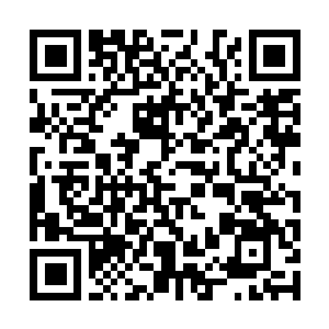 Lien vers votre campagne QRCode - Collecte de fonds