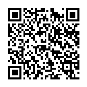 Lien vers votre campagne QRCode - Collecte de fonds