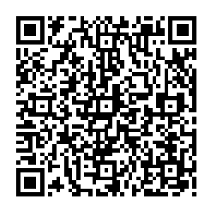 Lien vers votre campagne QRCode - Collecte de fonds