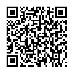 Lien vers votre campagne QRCode - Collecte de fonds