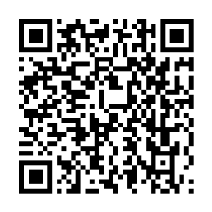 Lien vers votre campagne QRCode - Collecte de fonds