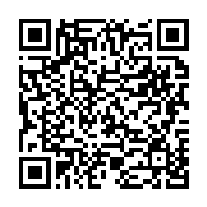 Lien vers votre campagne QRCode - Collecte de fonds